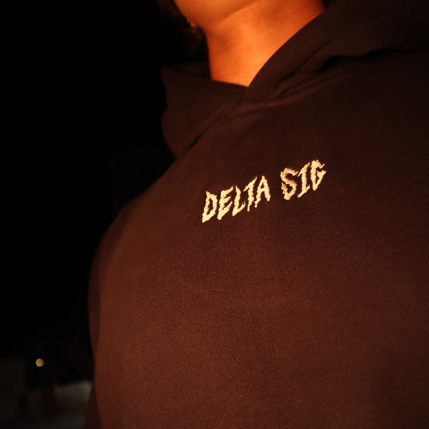 SDSU Delta Sig Hoodie - Navy